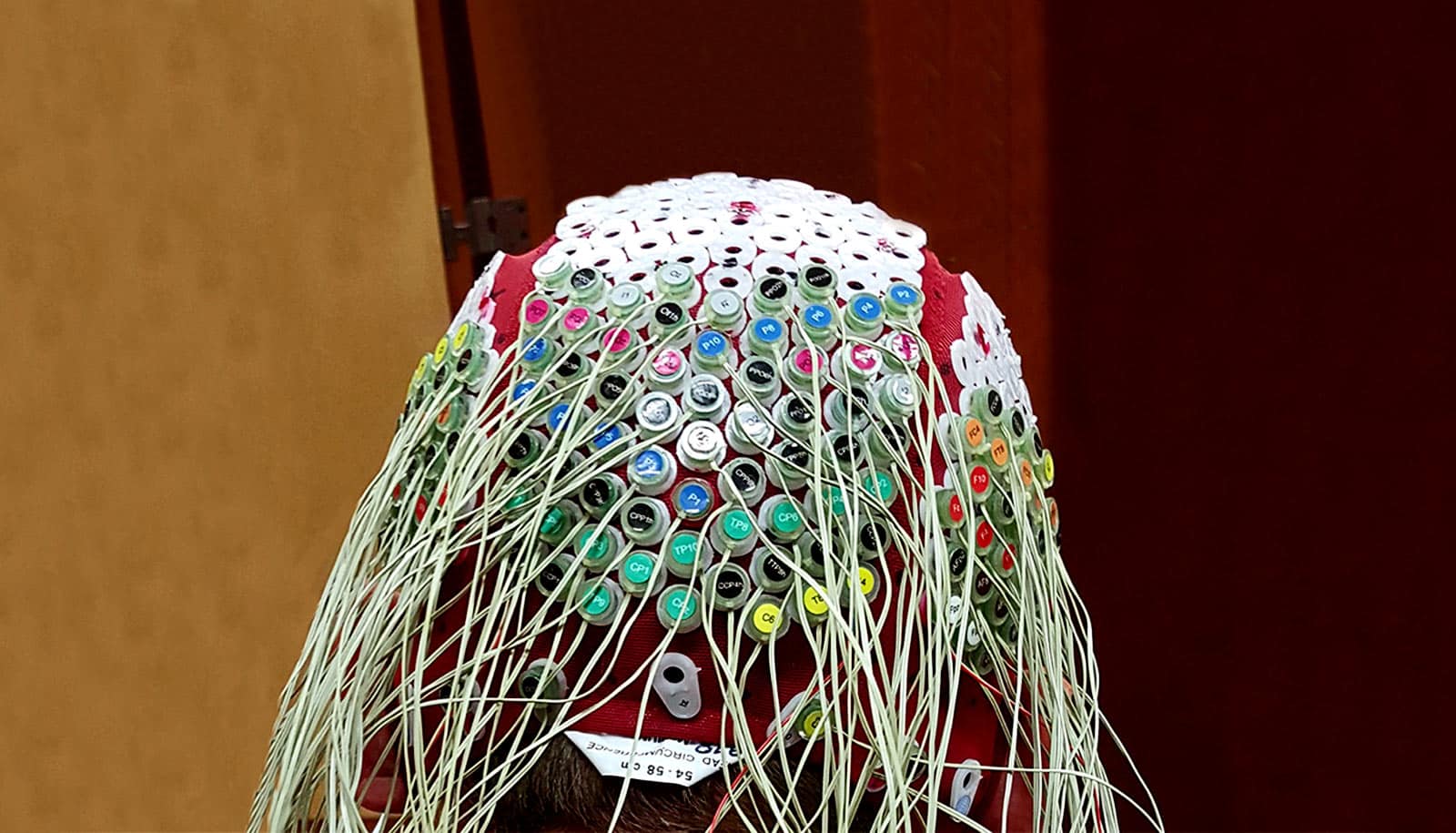 Eeg electrodes excelpolre