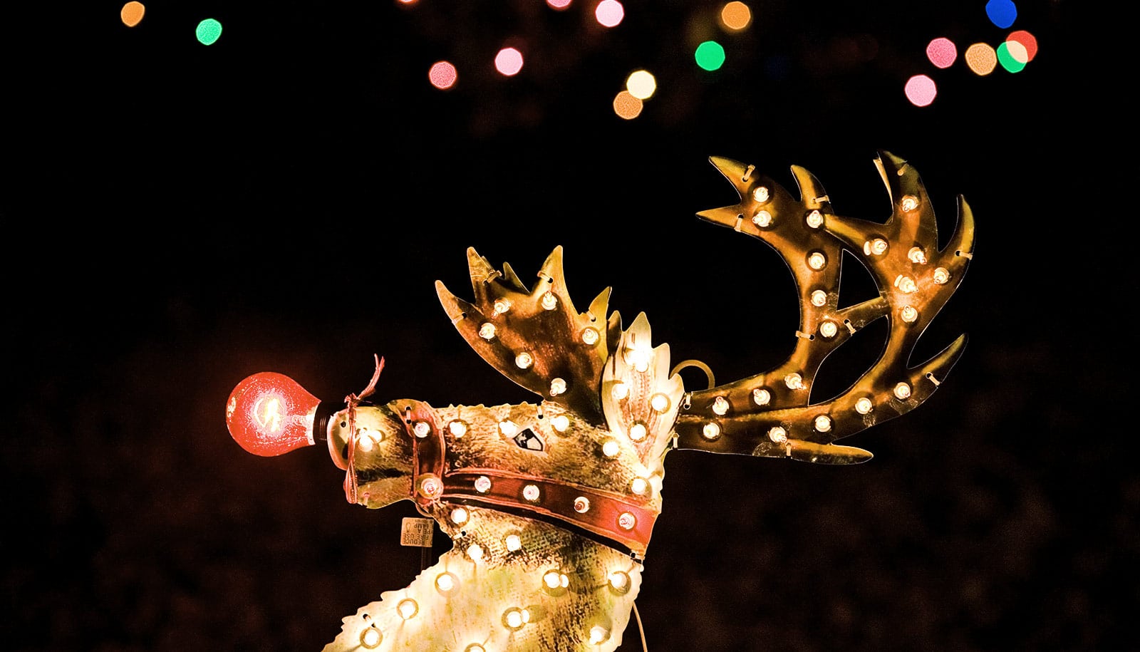How Rudolph's nose really could glow 'like a light bulb' Futurity