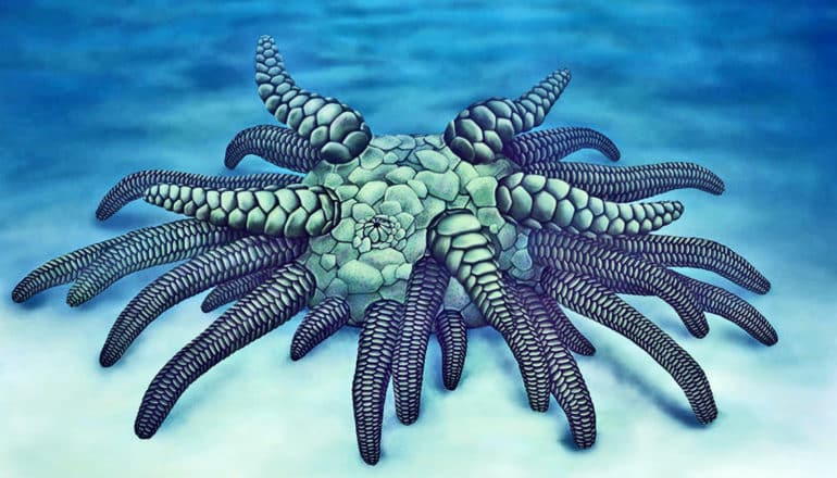 cthulhu creature