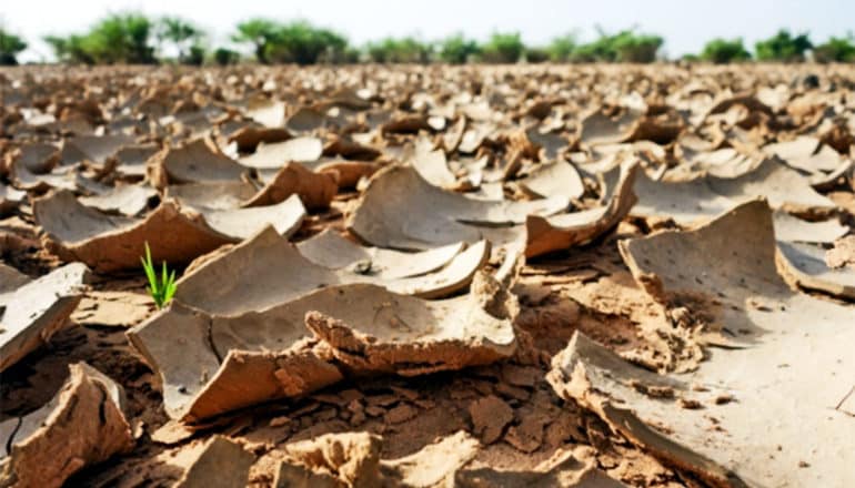 Dry, cracked ground in sub-Saharan Africa