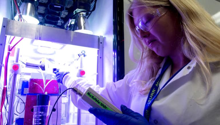 person in lab coat holds device toward plant in glowing box
