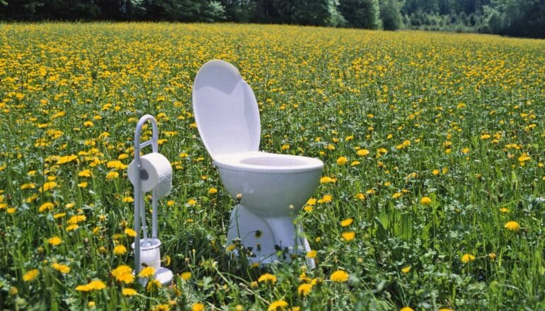 toilet in open field of flowers