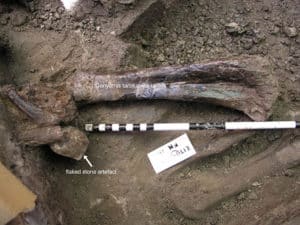 bone and artifact