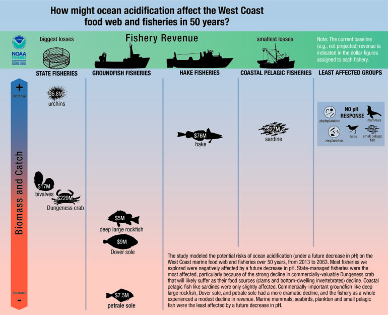 fisheries graphic via NOAA