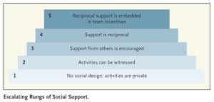 rungs of social support diagram