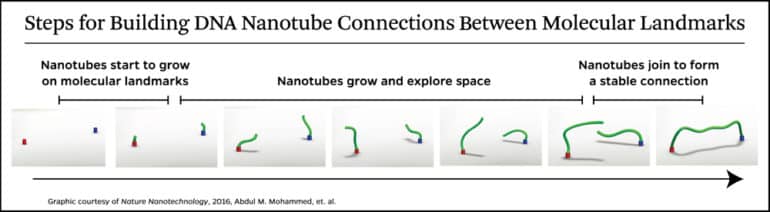 nanotube bridge graphic