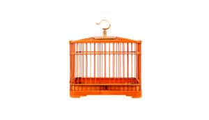 orange cage on white