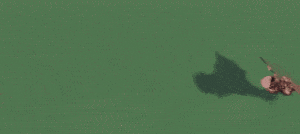 bat bot in flight gif