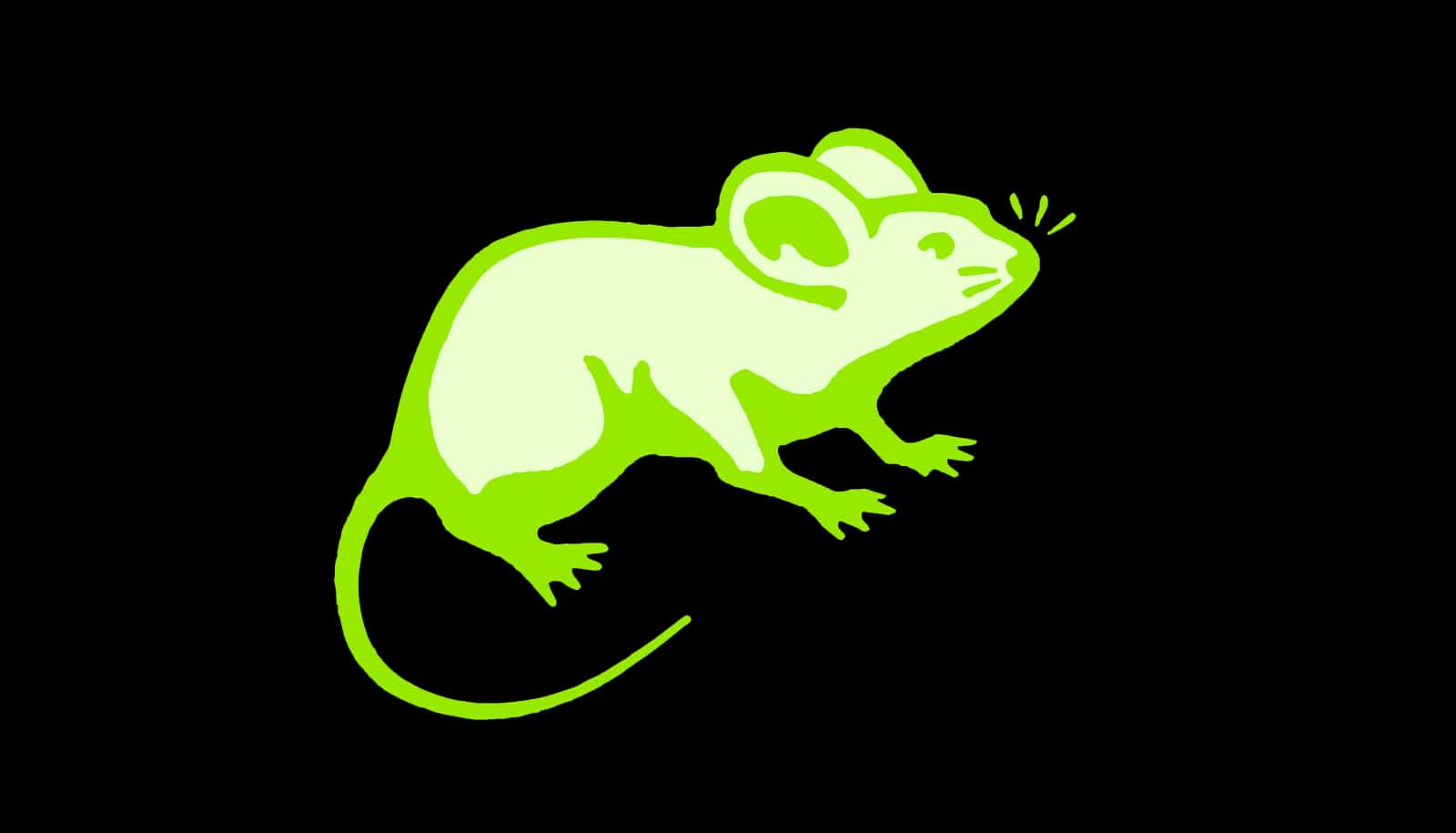 Code for firefly protein makes mouse glow in the dark Code for firefly protein makes mouse glow in the dark
