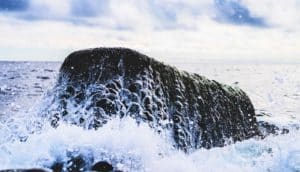 ocean water over rock