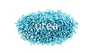 urea fertilizer on white