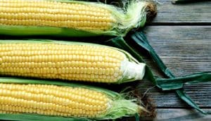 corn on wooden table