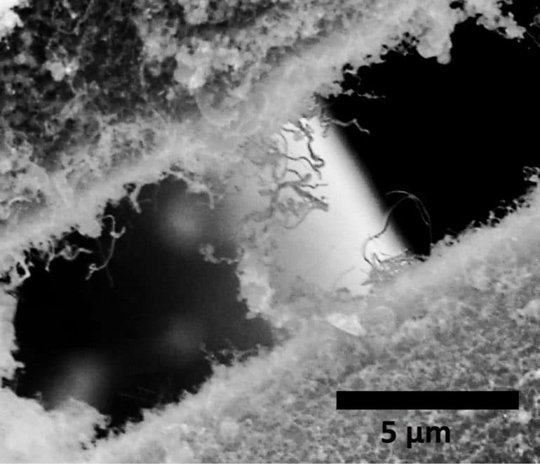 nanotubes and carbide fibers