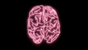 pink neon brain