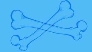 transparent blue bones