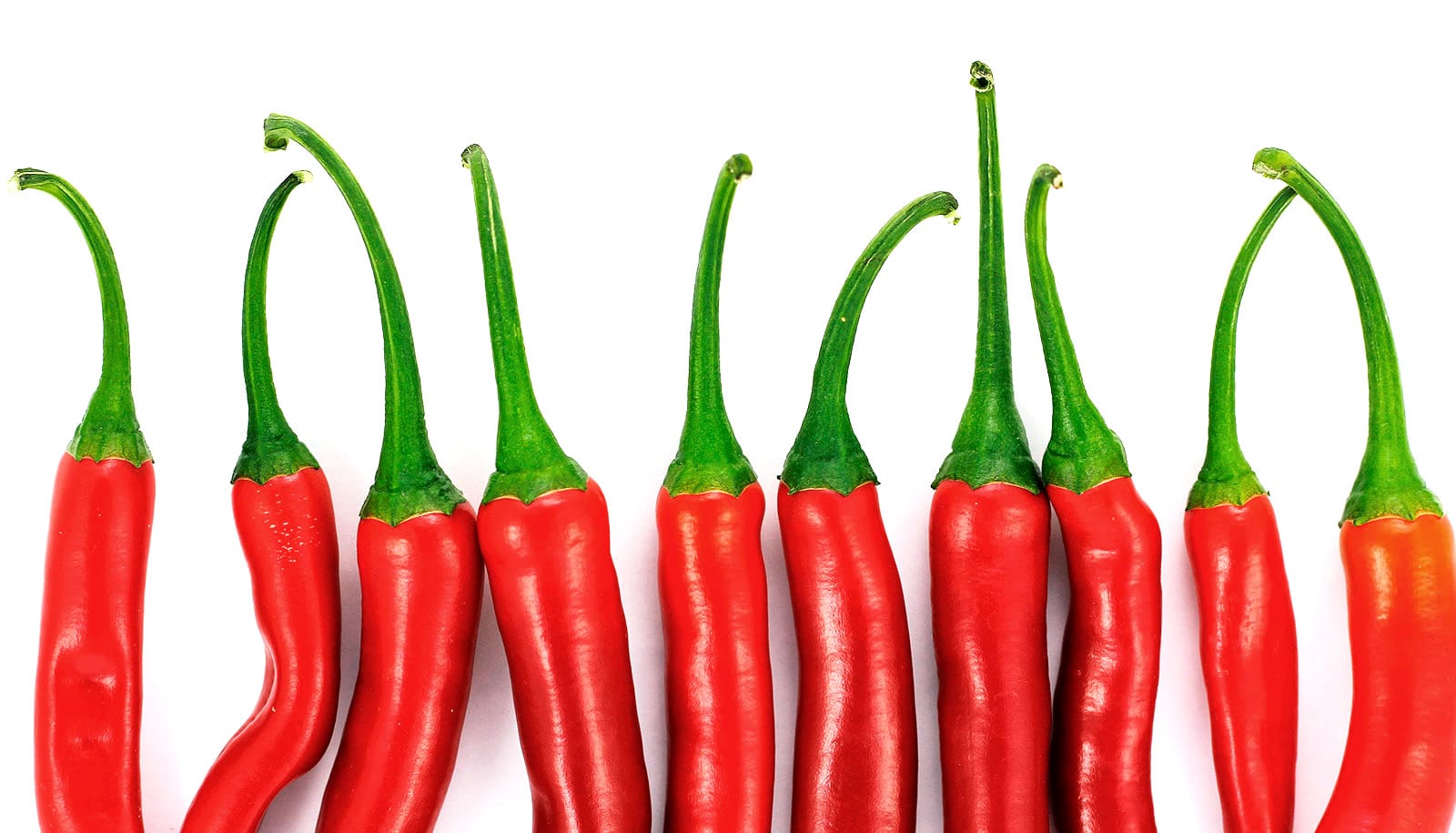 Scientists hunt for new drugs in plant 'ammo' Futurity