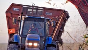 sugarcane harvesting truck