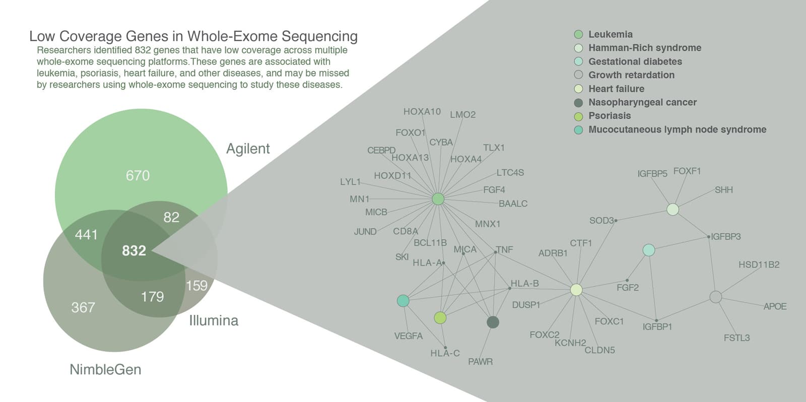 whole exome illustration