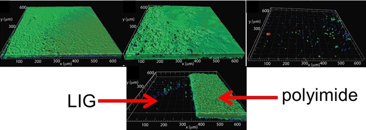 Illustration showing laser-induced graphene's biofilm resistant qualities