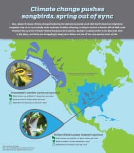 bird and climate infographic