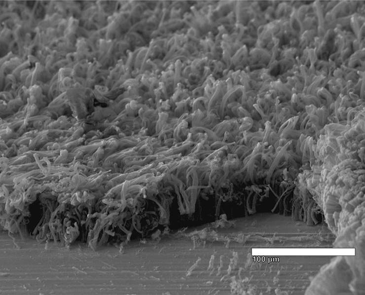 electron microscope image of nanotube coated in lithium metal