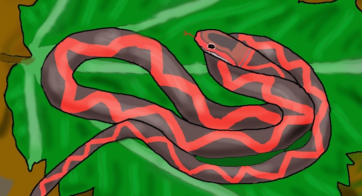 snake illustration