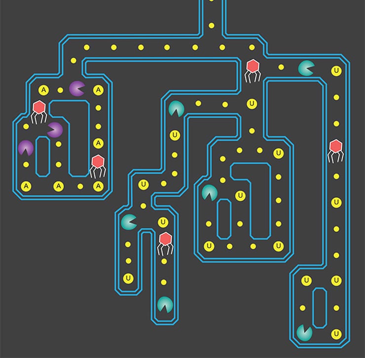 CRISPR Pac-Man graphic