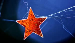 star in spider web