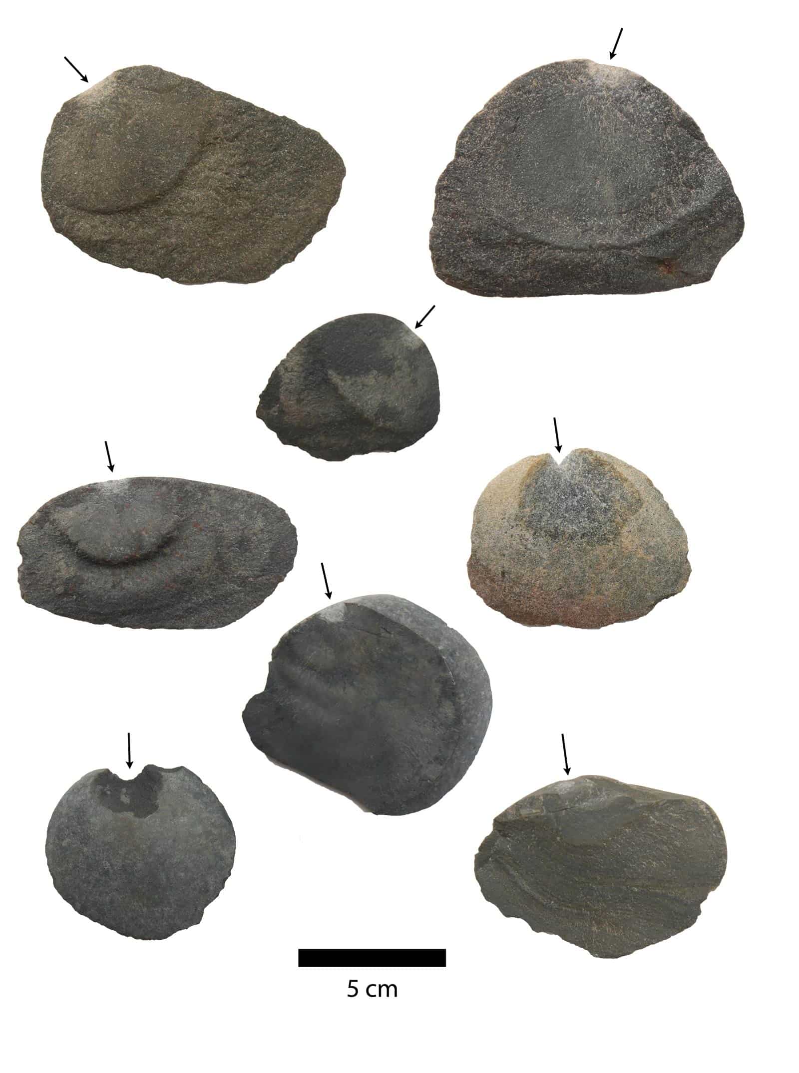 one-sided stone tools