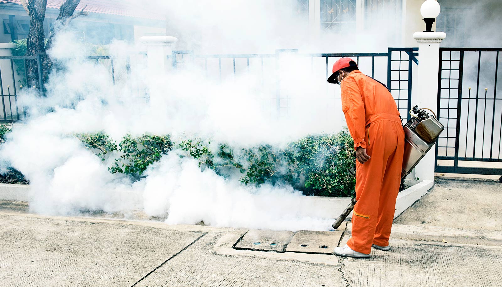 Crystal DDT could be a safer bug-killer - Futurity