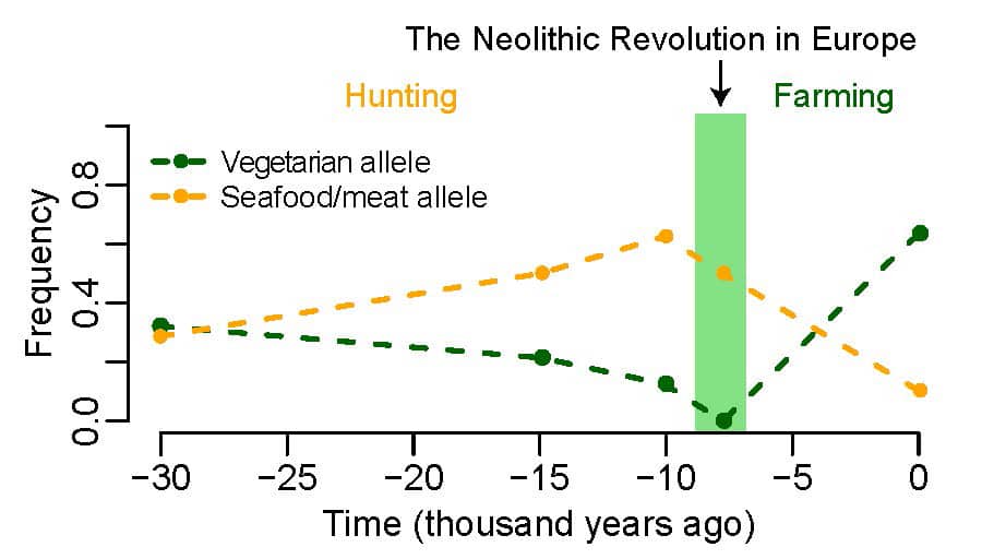 alleles graph