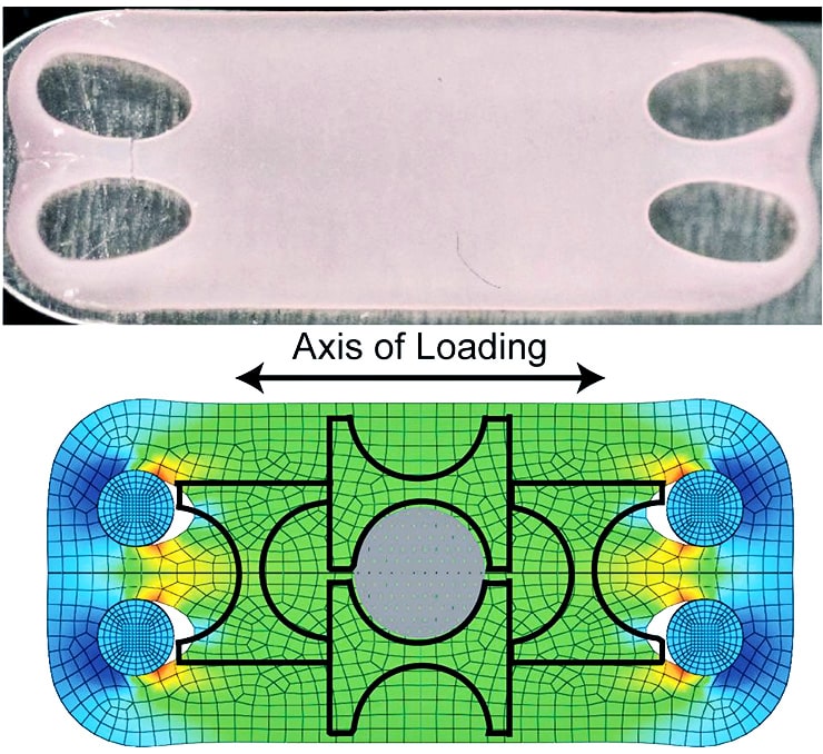 artificial, lab-grown cartilage