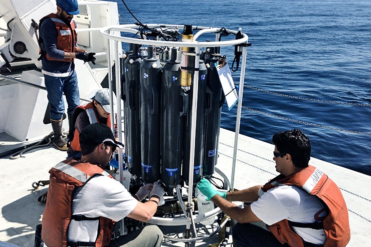 researchers collecting eDNA sample