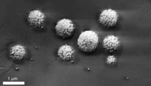 emulsion stabilizers in ice