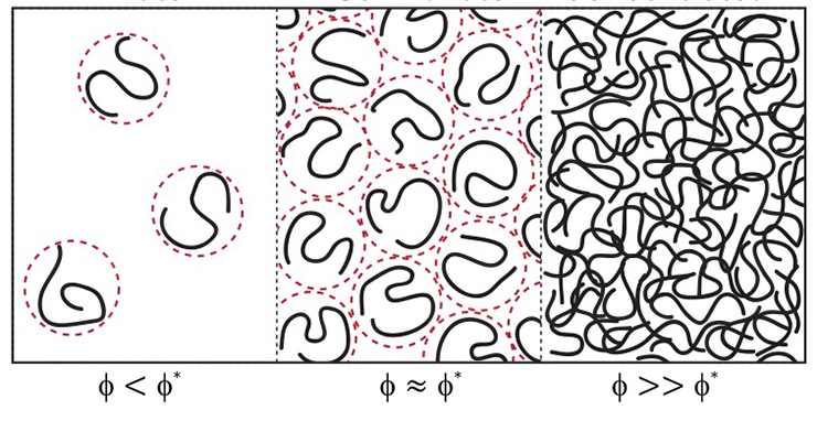 membraneless organelles illustration