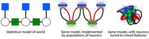neuroscience models in graphic