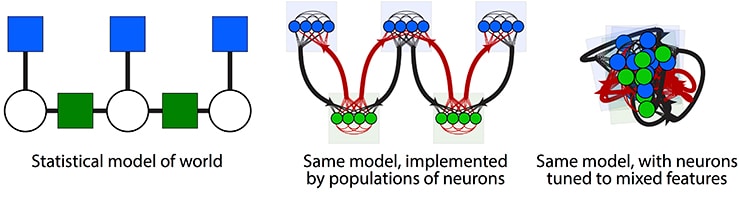 neuroscience models in graphic