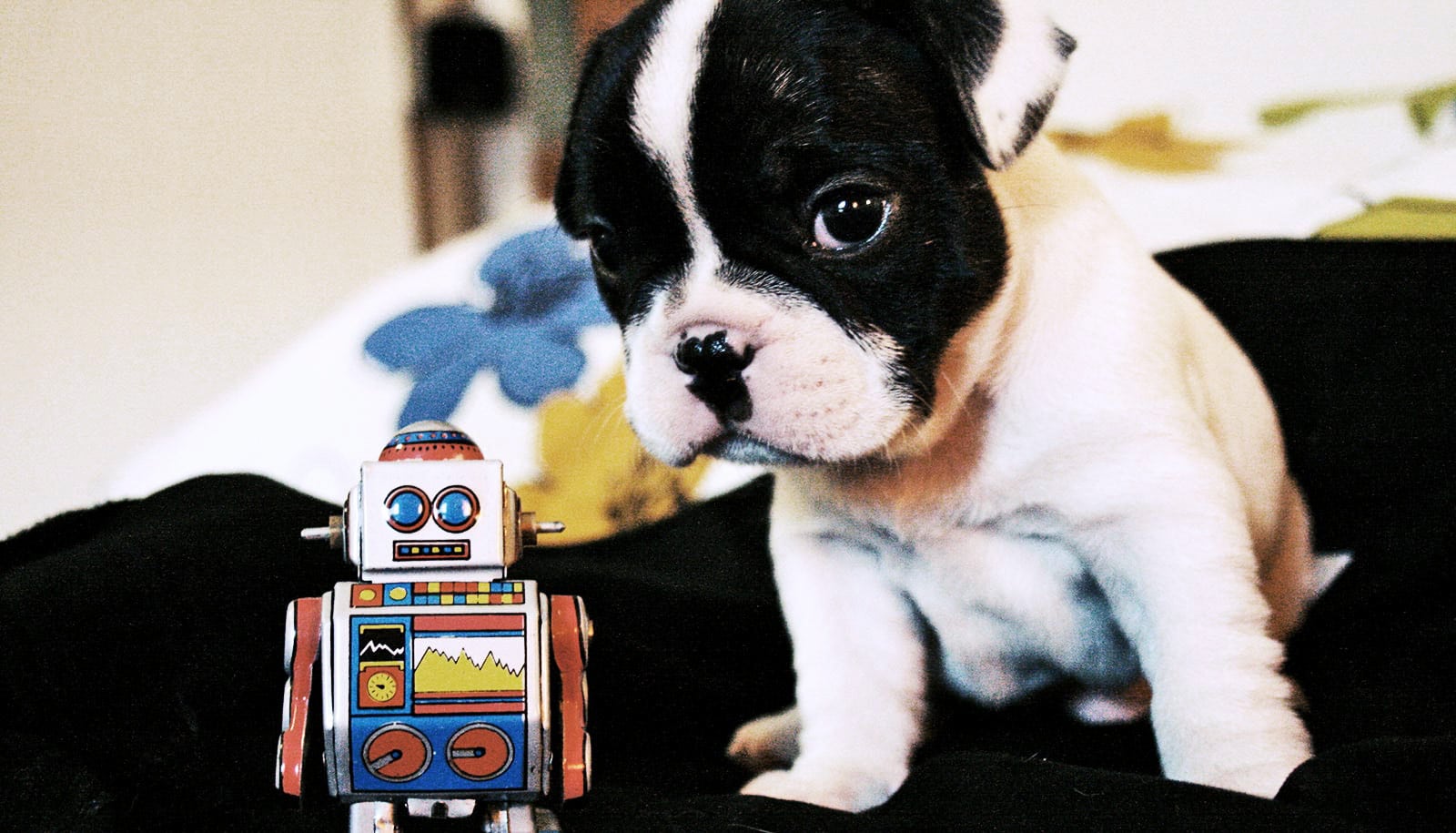 rolly teacup puppy robot