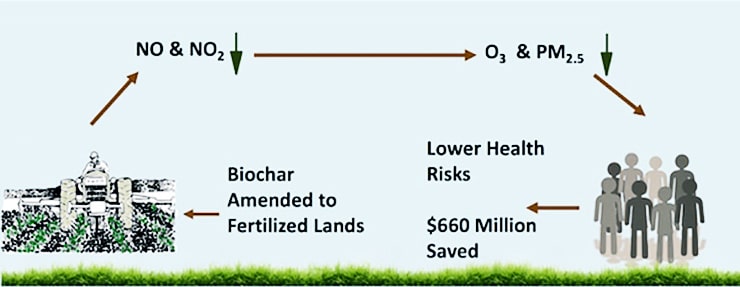 biochar illustration