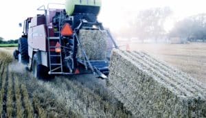 baler harvesting wheat for biofuel