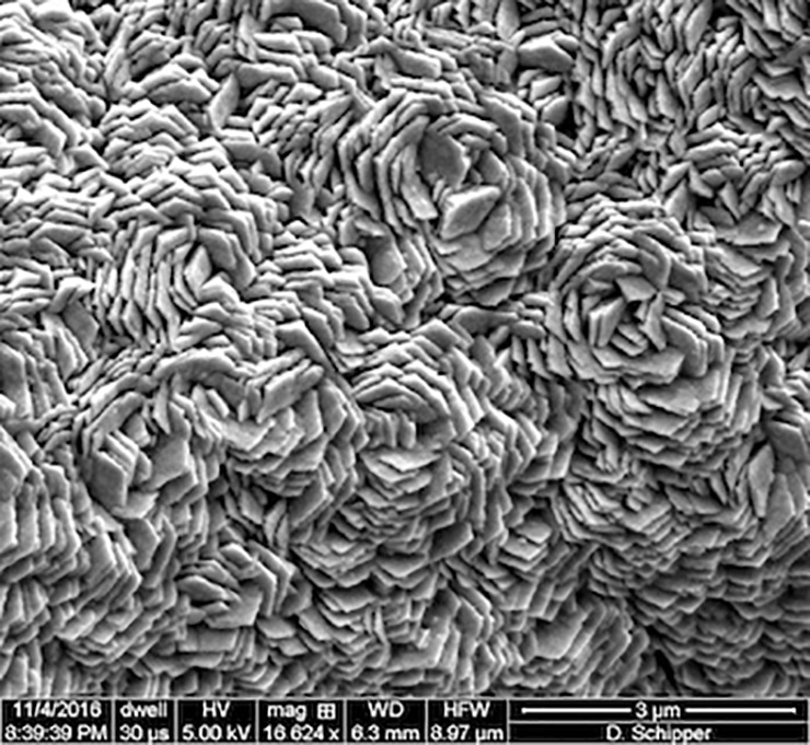 electron microscope view of catalyst