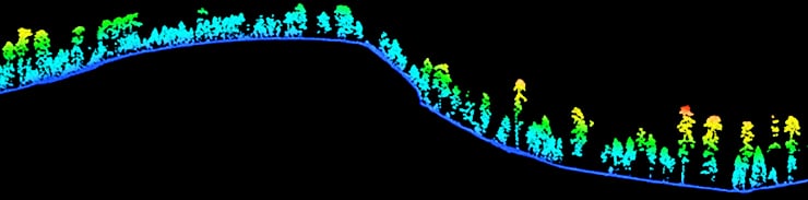 mountain forest carbon storage