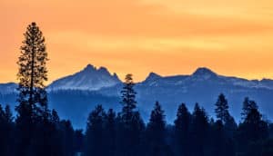 mountain forest at sunset