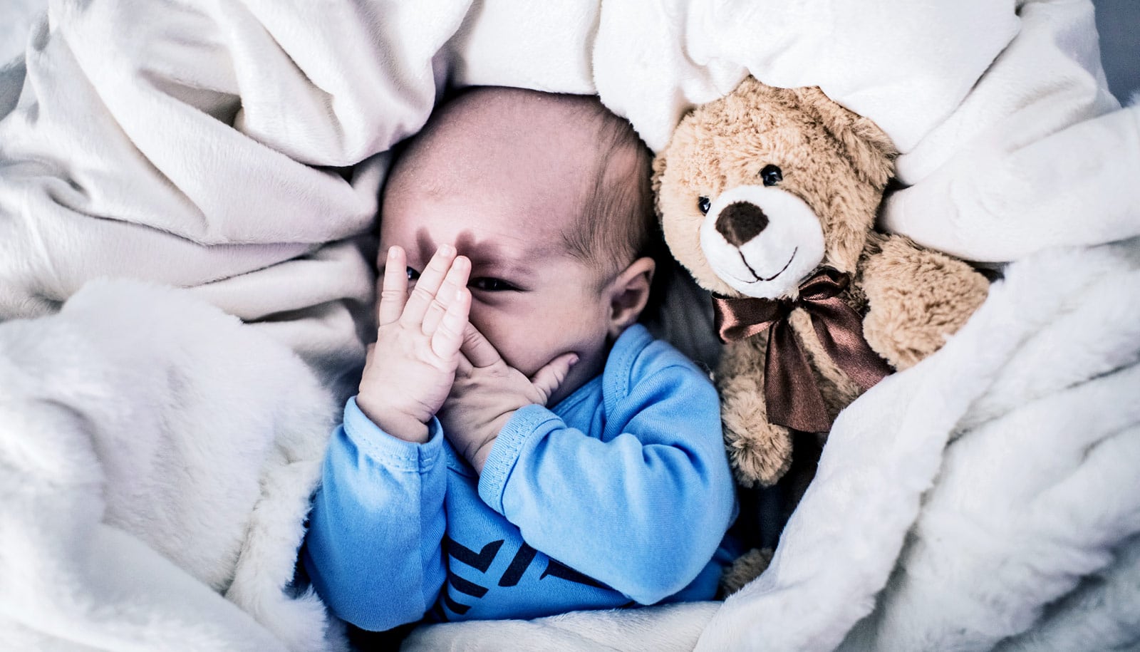 Drug combo could repair fetal alcohol damage Futurity