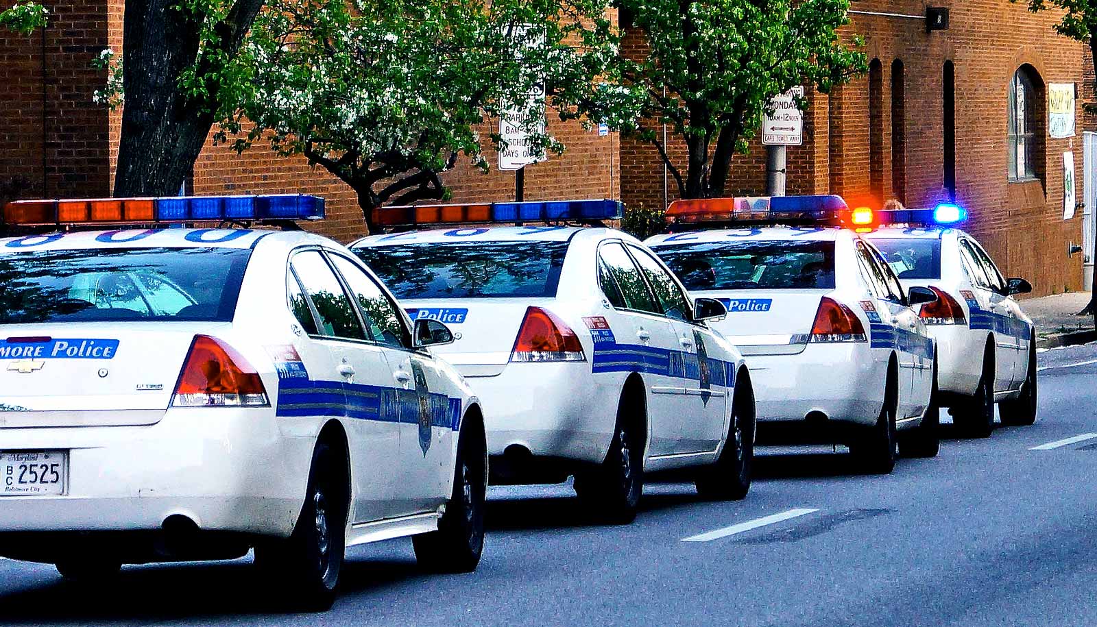 Police Cars Lined Up 1600 Futurity Police Cars Lined Up 1600 Futurity