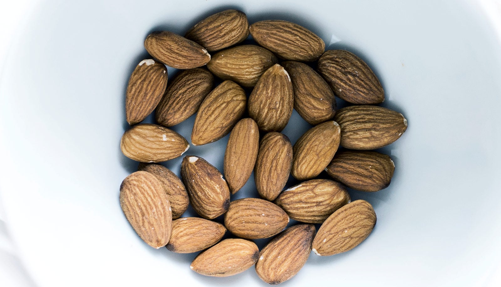 Can eating almonds raise 'good' cholesterol? Futurity