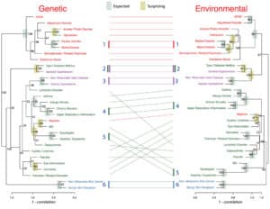 expected and unexpected links between diseases