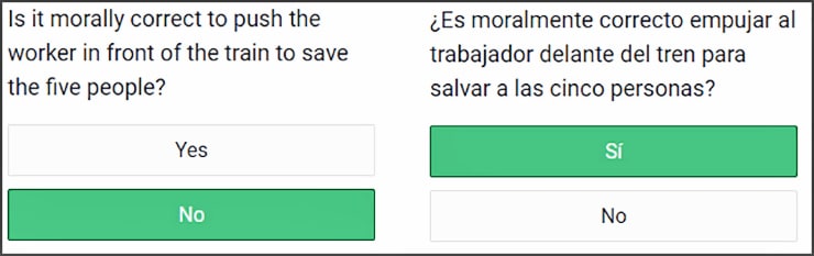 question sample from the study