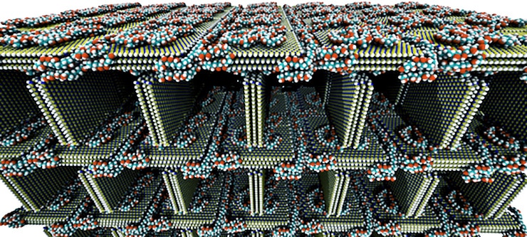 freeze-dried foam molecular dynamics simulation