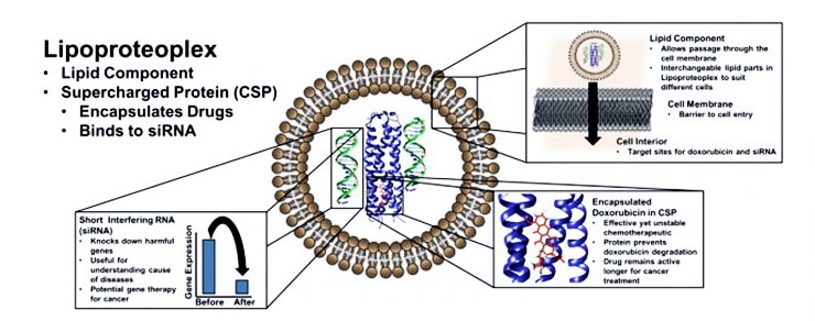 lipopreteoplex